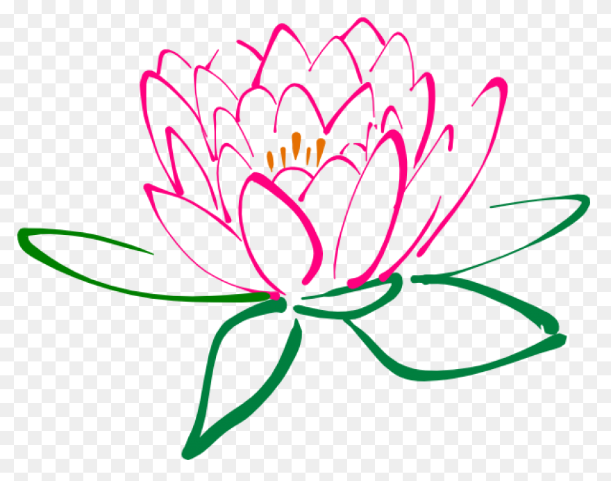 Lotus Flower Png