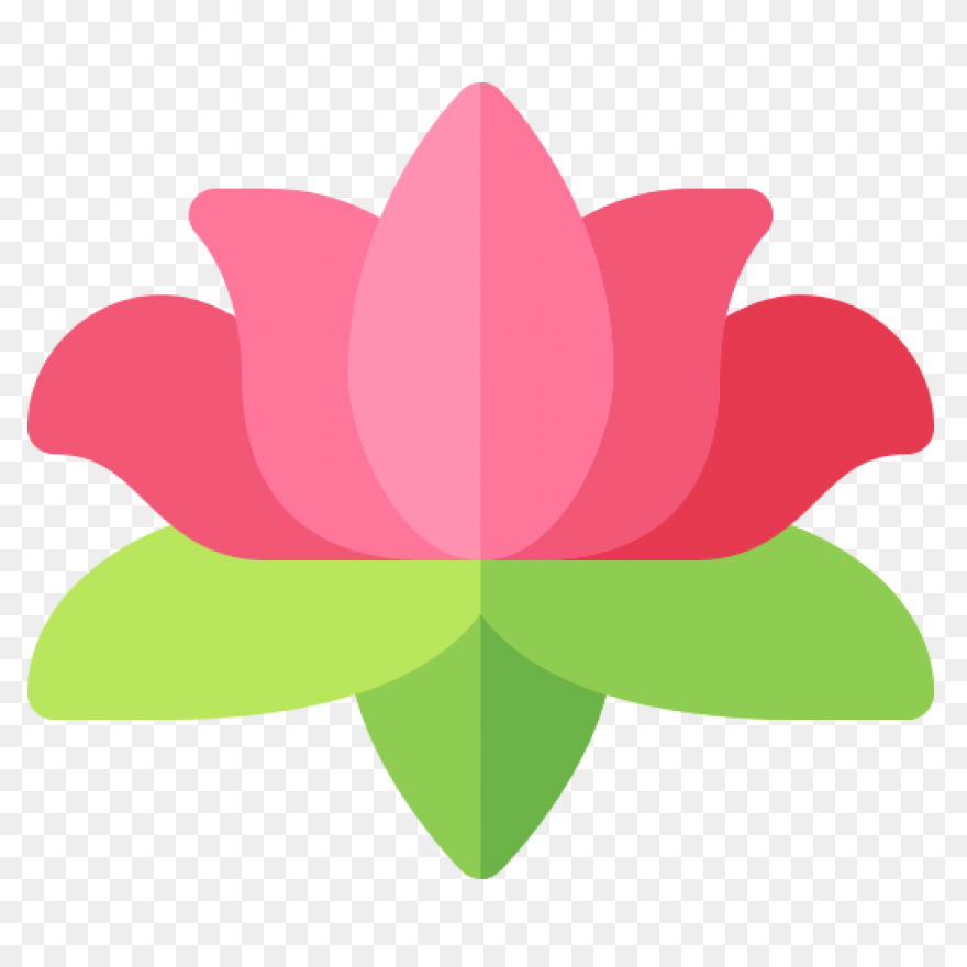Lotus Flower Png