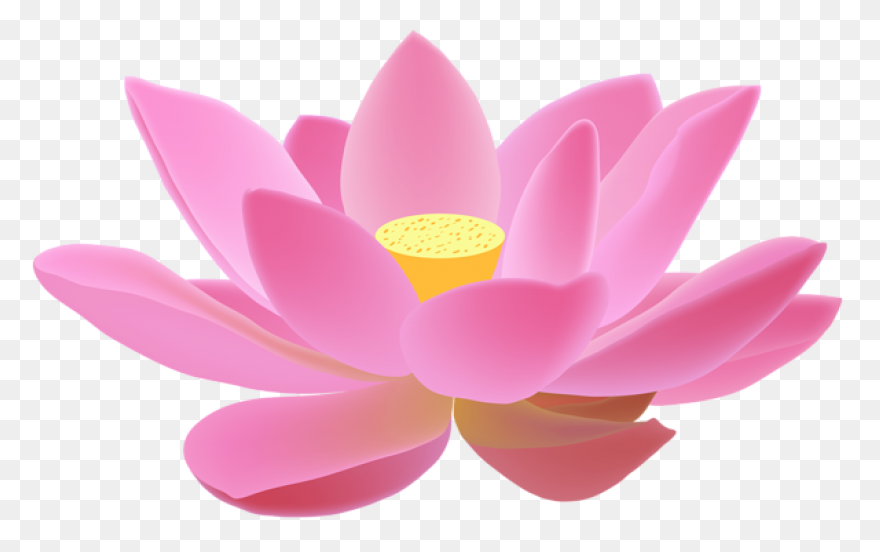 Lotus Flower Png - Lotus Flower