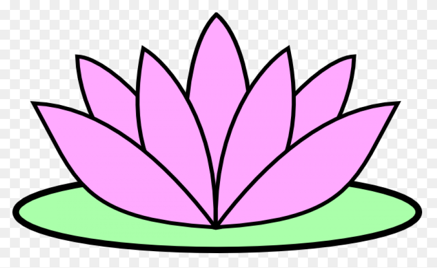 Lotus Flower Png