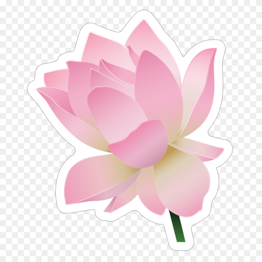 Lotus Flower Png
