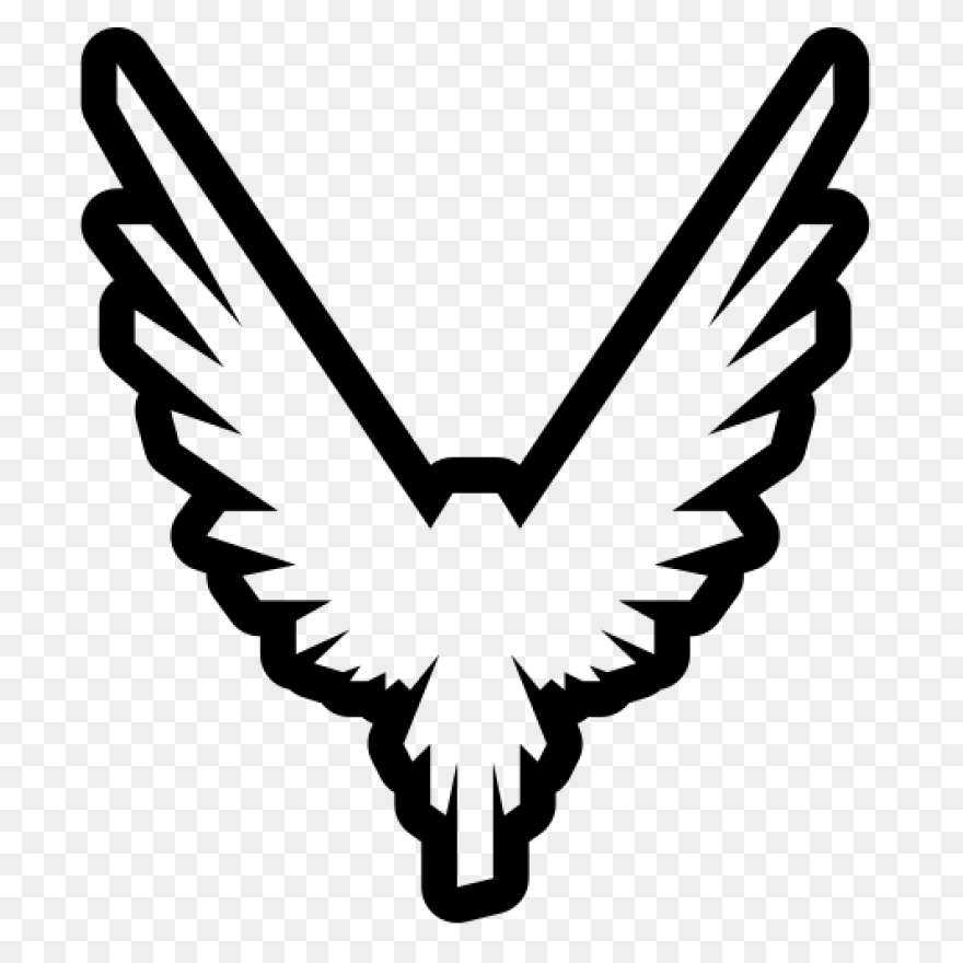 The Official Maverick Merchandise L