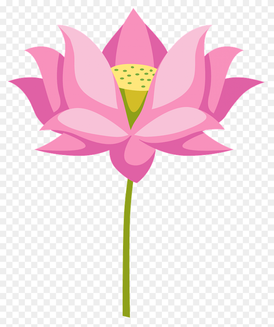 Lotus Clipart Transparent 12 - Clip
