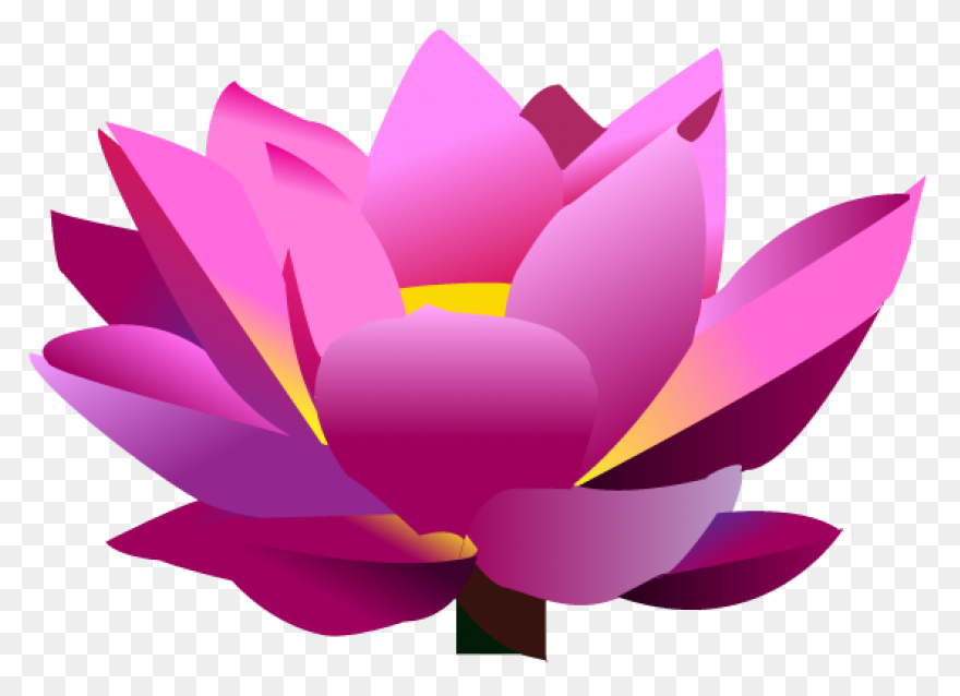 Lotus Clipart Transparent 12 - Clip