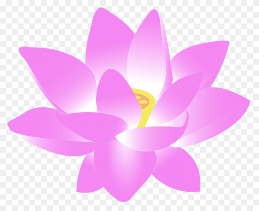 Lotus Clipart Transparent 12 - Clip