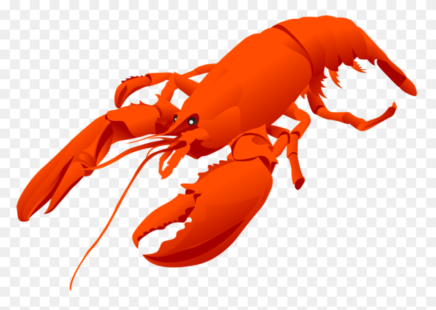 Large Lobster Clip Art At ClipartFl