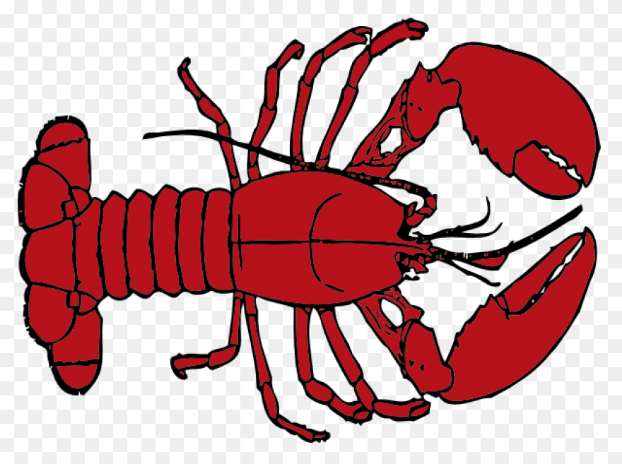 Large Lobster Clipart At .com - Lobster