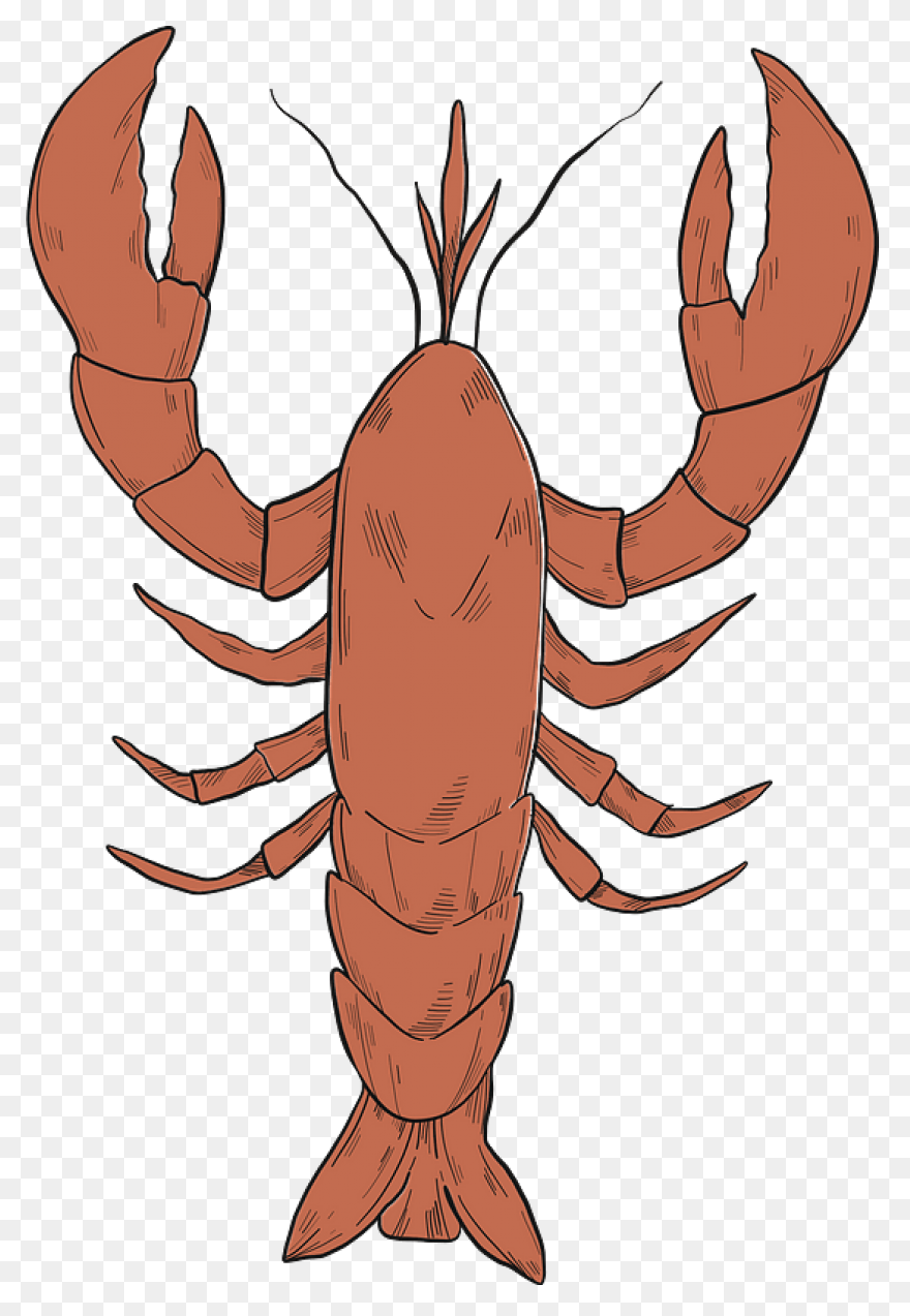 Large Lobster Clip Art At ClipartFl