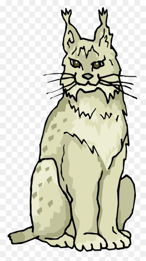 Bobcat Clipart. Free Download Trans