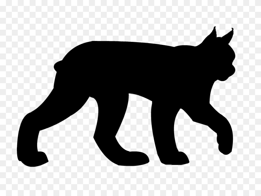 Bobcat Clipart. Free Download Trans