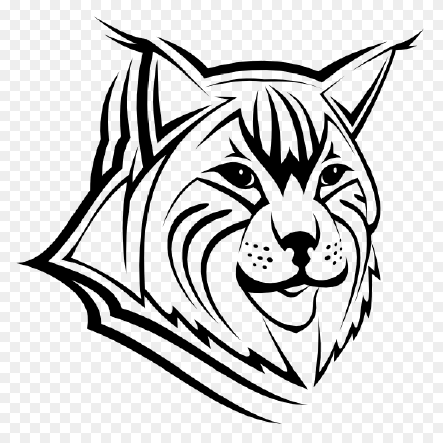 Bobcat Clipart. Free Download Trans