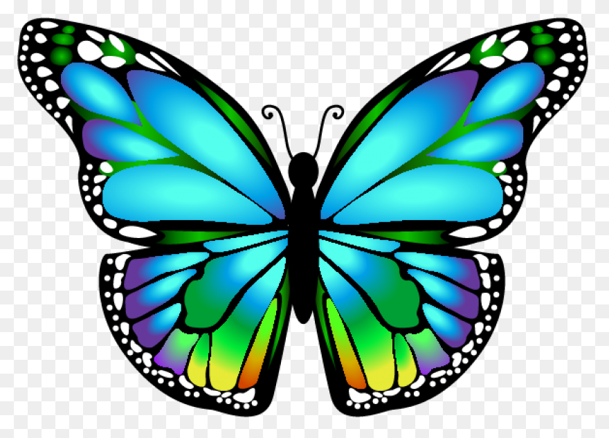 Transparent Blue And Green Deco But