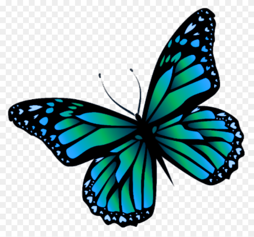 Transparent Blue And Green Deco But