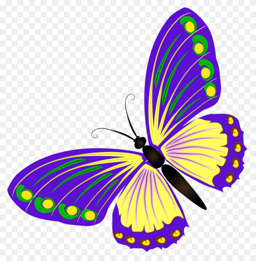 Transparent Blue And Green Deco But