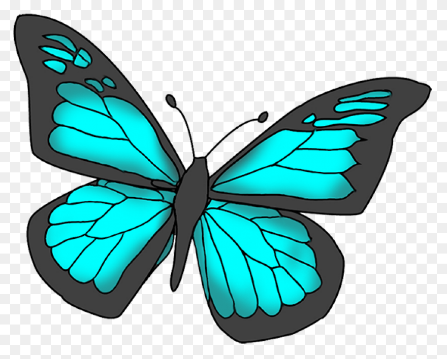 Transparent Blue And Green Deco But