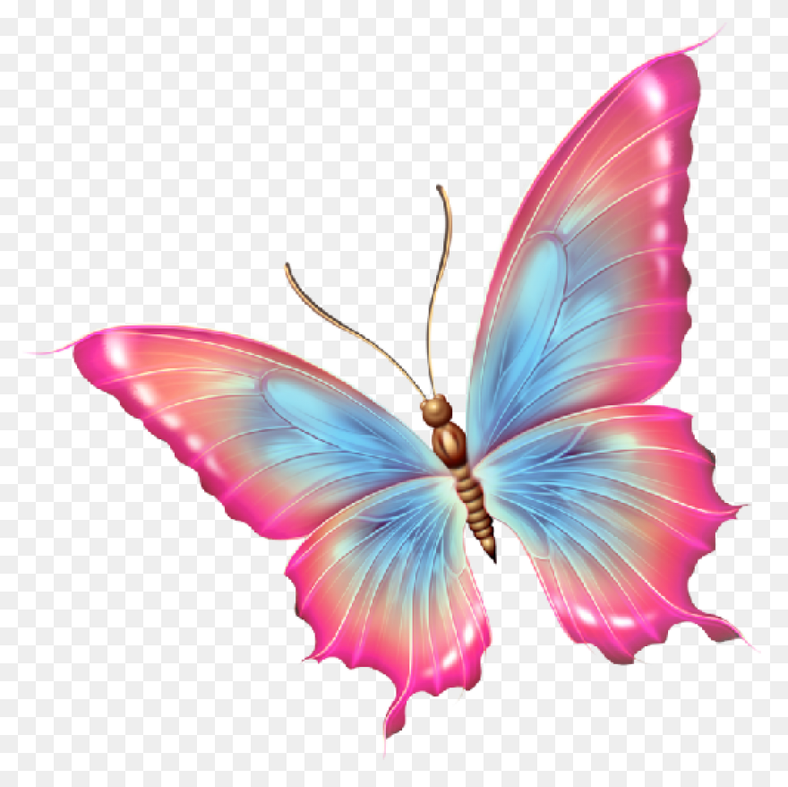 Transparent Blue And Green Deco But
