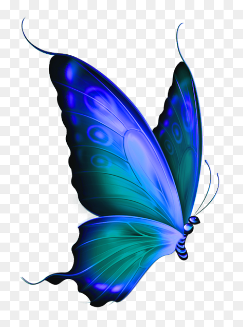  Blue And Green Deco - Mariposas