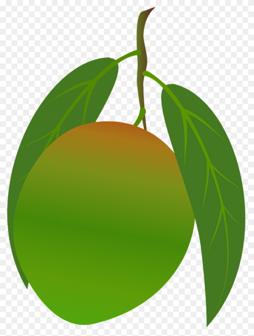Mango Png Clip Art | Mango Images, 