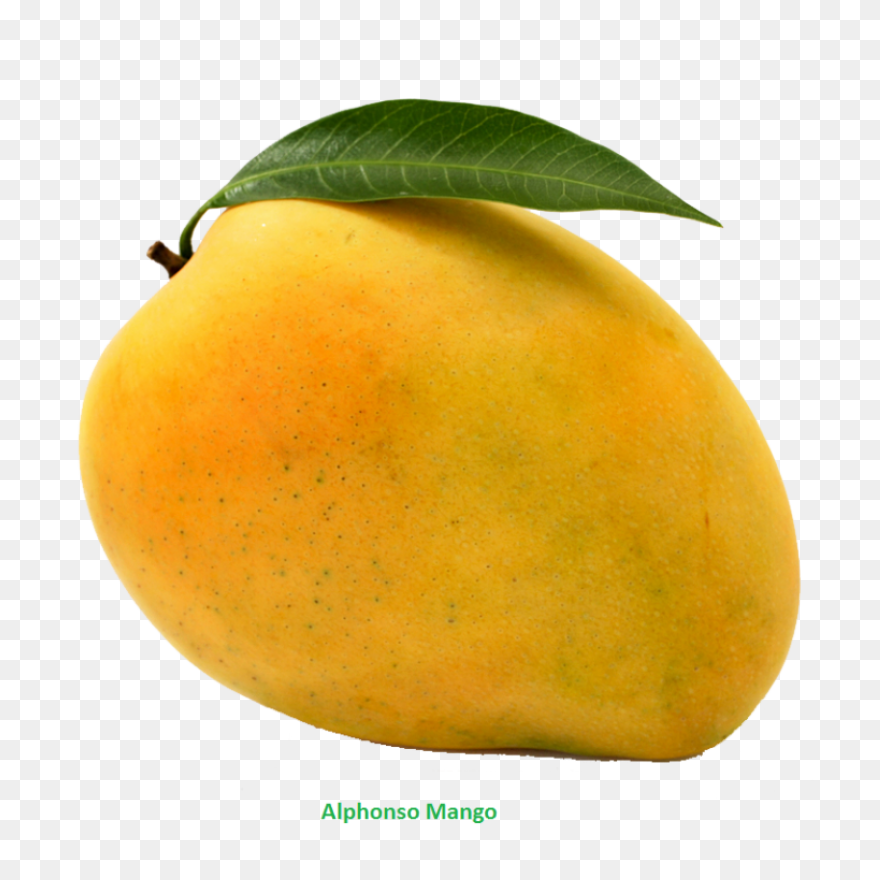 Mango Png Clip Art | Mango Images, 