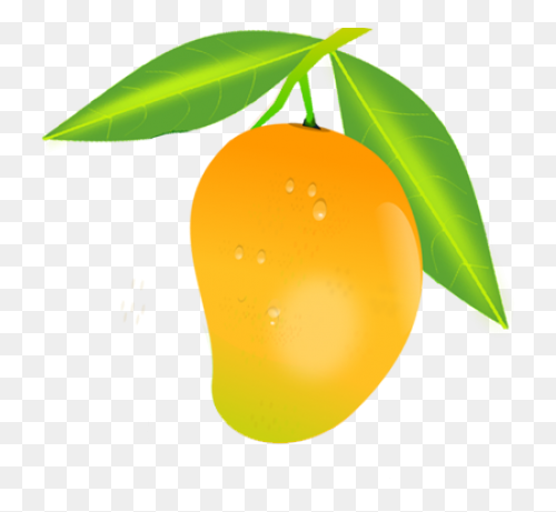 80 Mango Png Image & Mango Clip