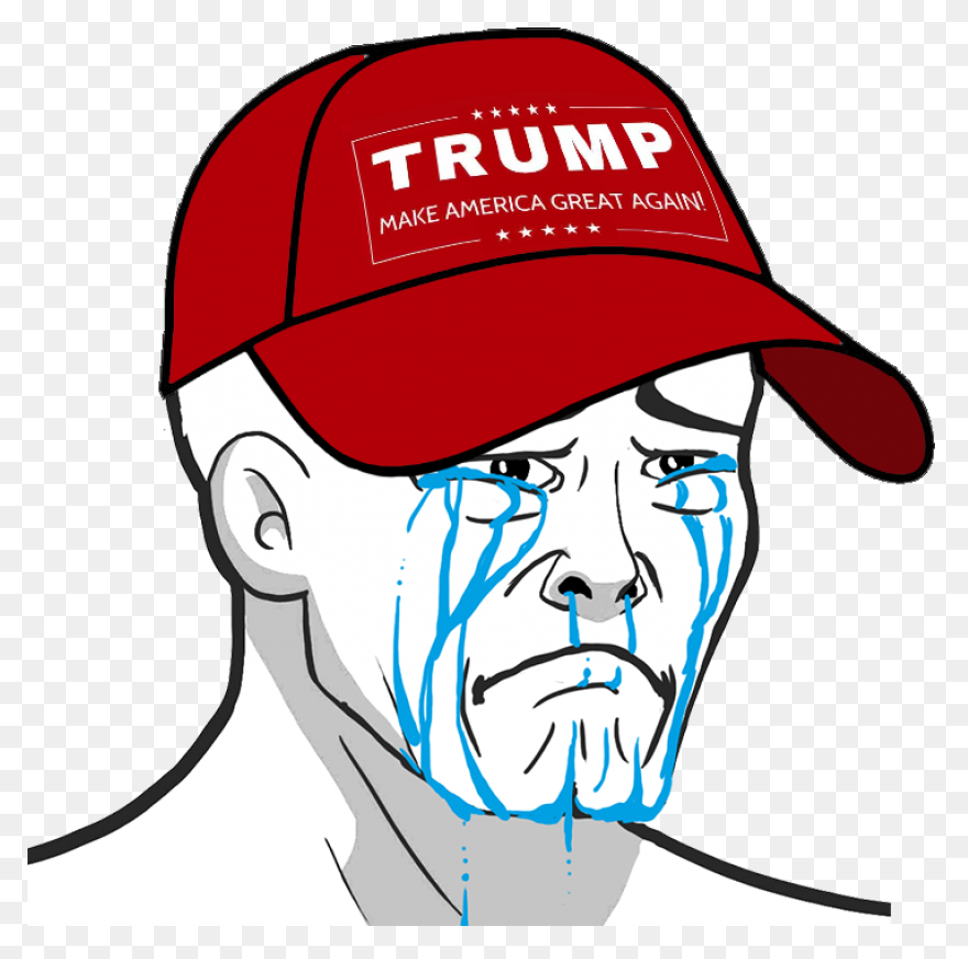 Elsa | #trumpanime / Rick Wilson Co