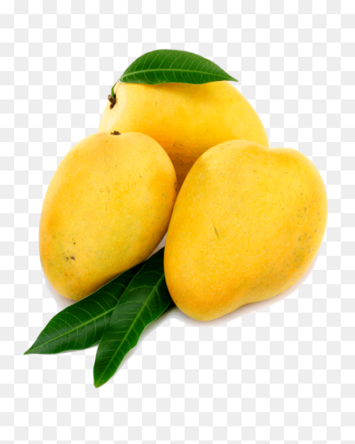 Mango Clipart Psd - Mango Fruit | F