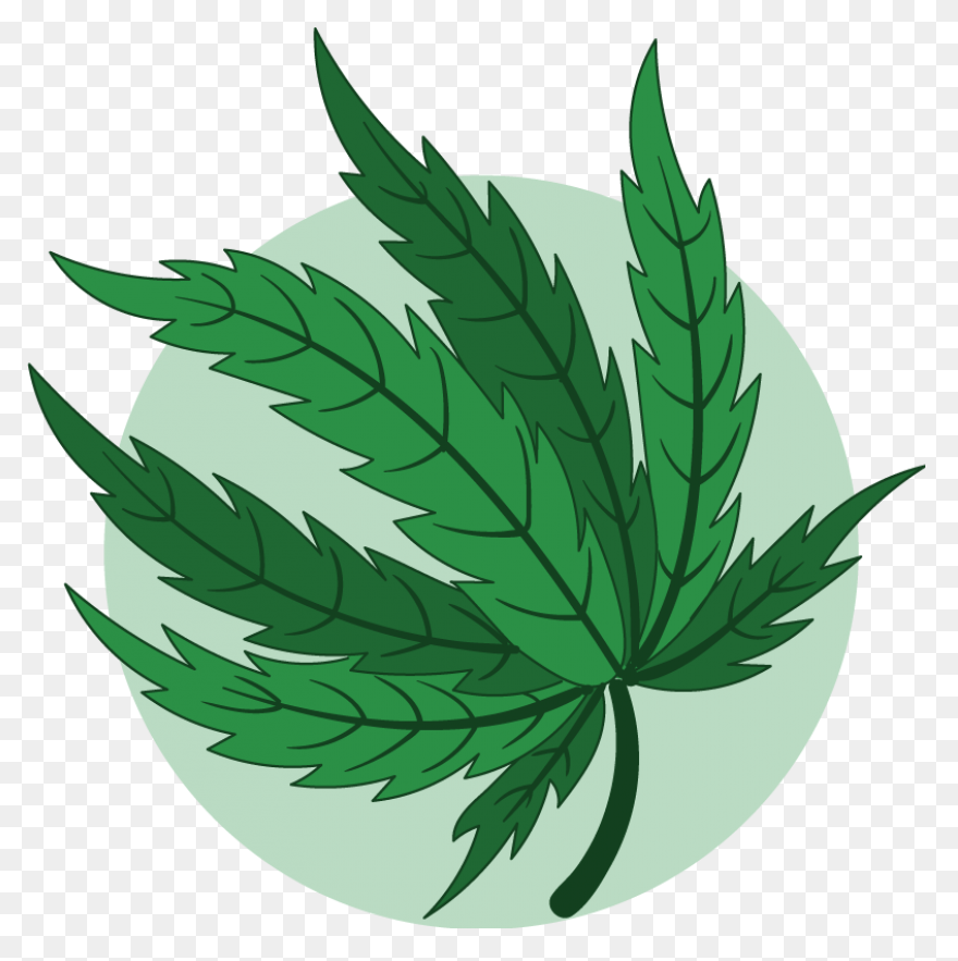 Weed Plant Cartoon - Marijuana Clip