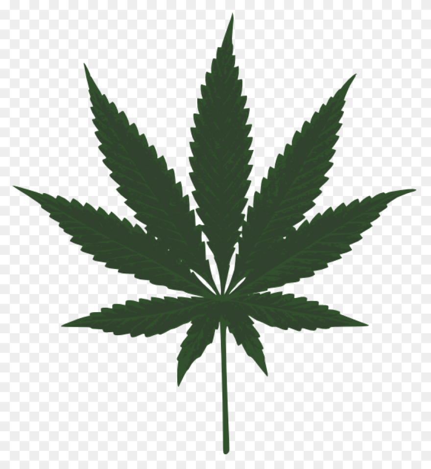 Weed Plant Cartoon - Marijuana Clip
