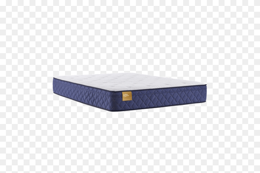 Sealy Brand Plush Euro Top Mattress