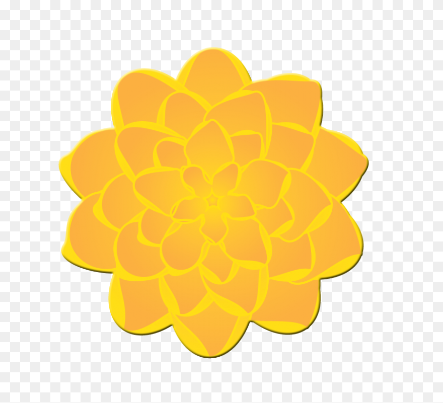 Calendula Officinalis Flower - Mari