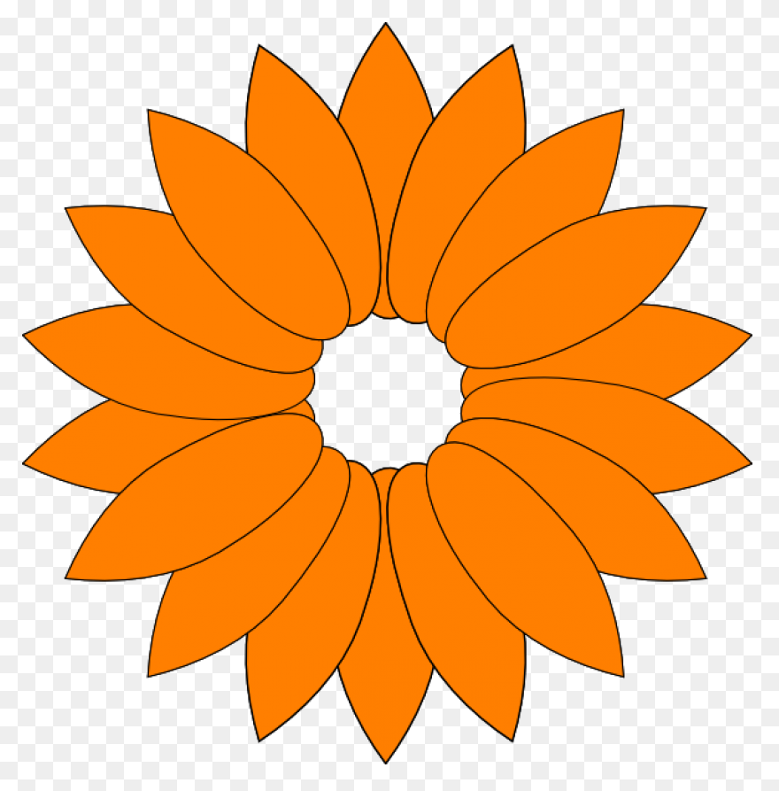 Calendula Officinalis Flower - Mari