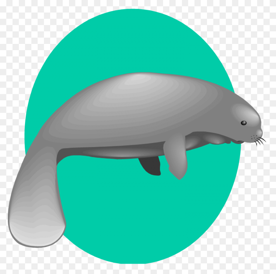 Funny Manatee Lover Gift My Spirit 