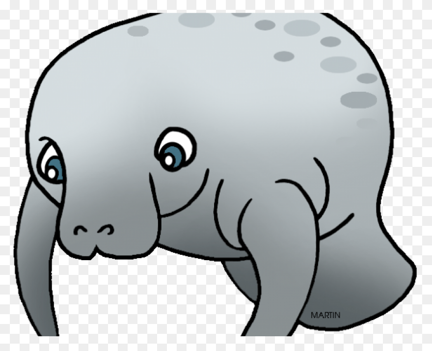 Funny Manatee Lover Gift My Spirit 