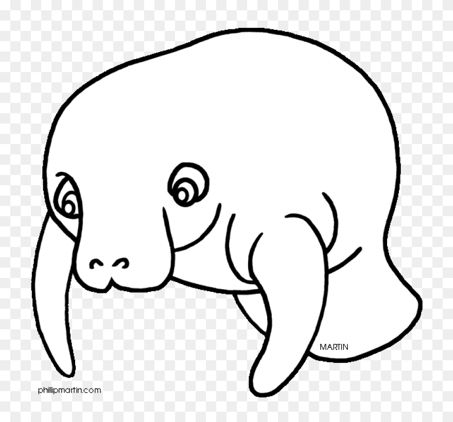 Free Manatee Clipart Download Free - Manatee