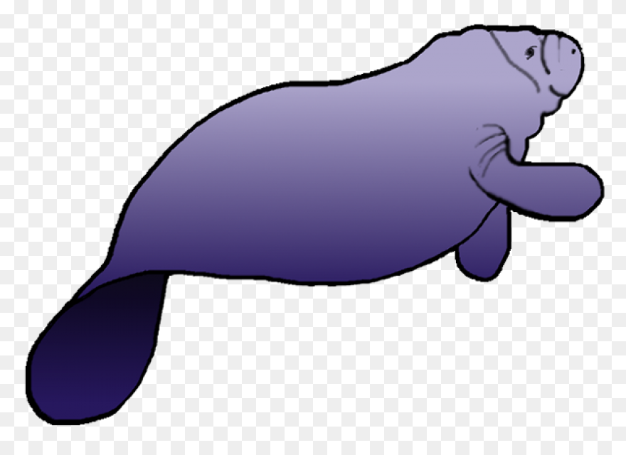 Funny Manatee Lover Gift My Spirit 