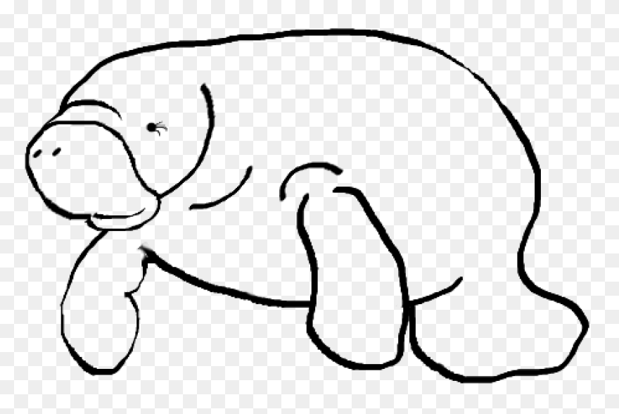 Funny Manatee Lover Gift My Spirit 