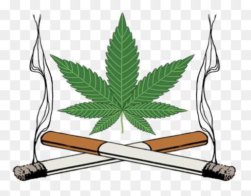 Marijuana Peace Symbol Variation 2 