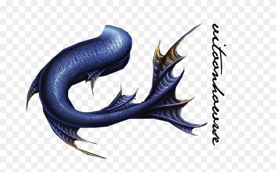 Free Mermaid Tail  Download - Mermaid Tail