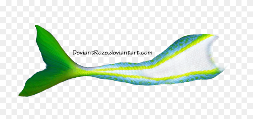 Free Mermaid Tail Transparent, Down