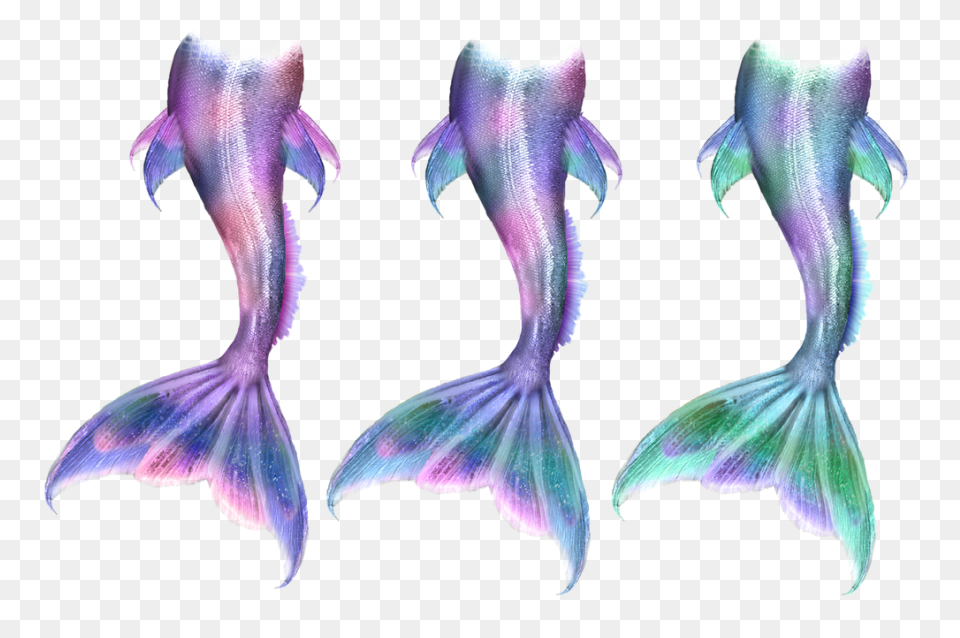 Free Mermaid Tail Transparent, Down