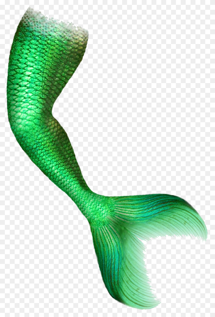 Free Mermaid Tail Transparent, Down