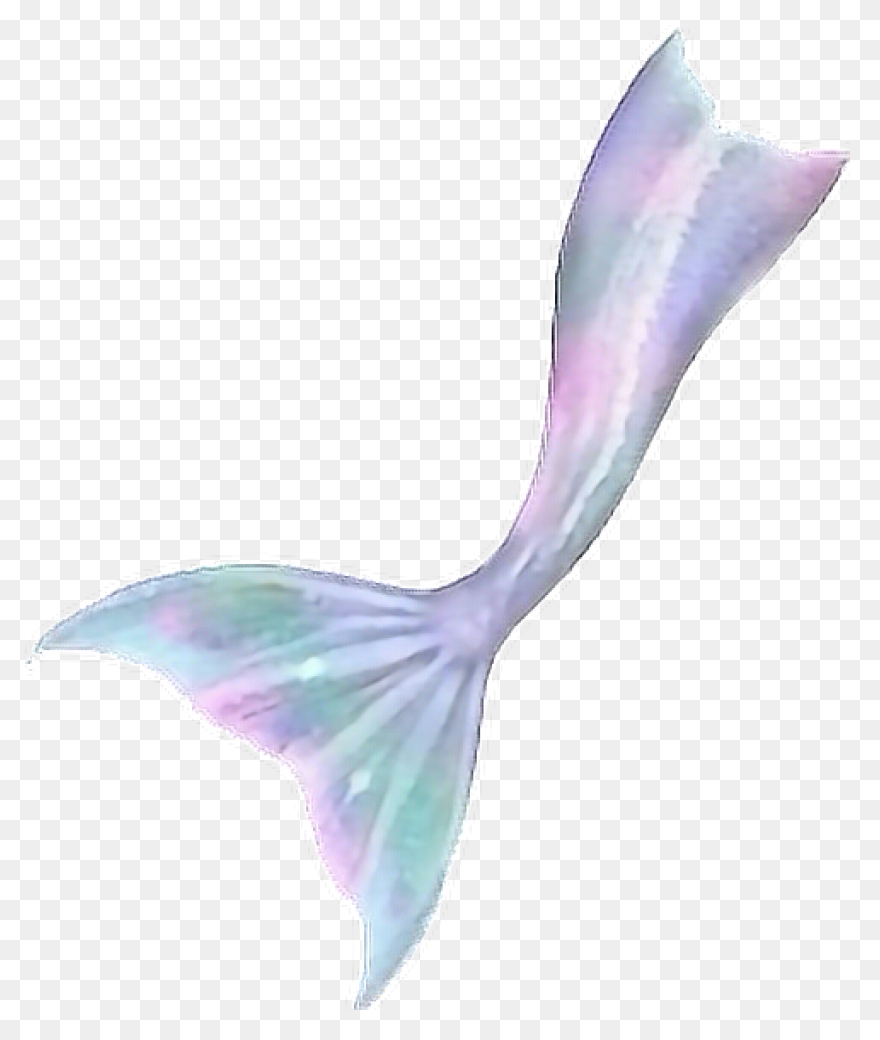Free Mermaid Tail Transparent, Down