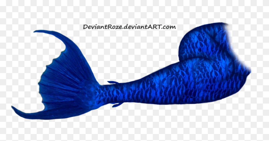 Free Mermaid Tail Transparent, Down
