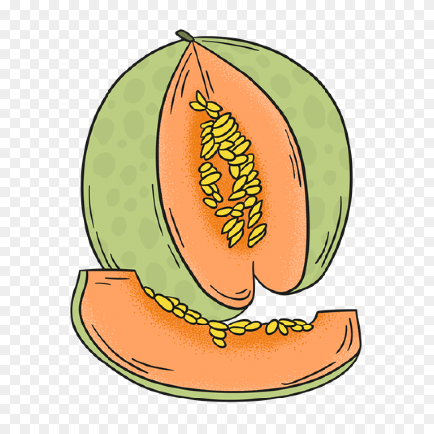 Melon Clipart Watermelon Seed - Wat