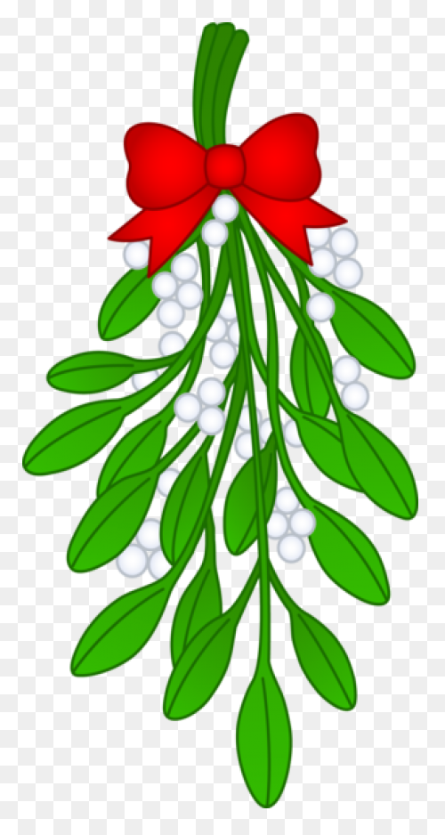 Free Png Christmas Holly Mistletoe 