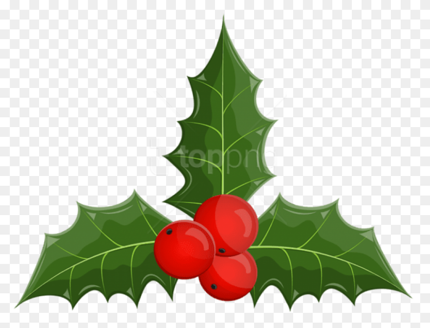 Free Png Christmas Holly Mistletoe - Mistletoe
