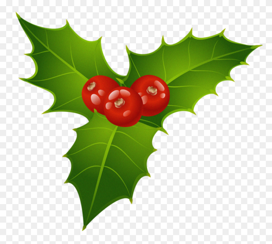 Free Png Christmas Holly Mistletoe 