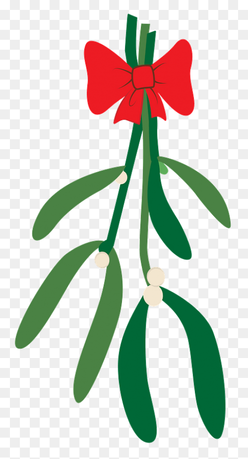 Free Png Christmas Holly Mistletoe 