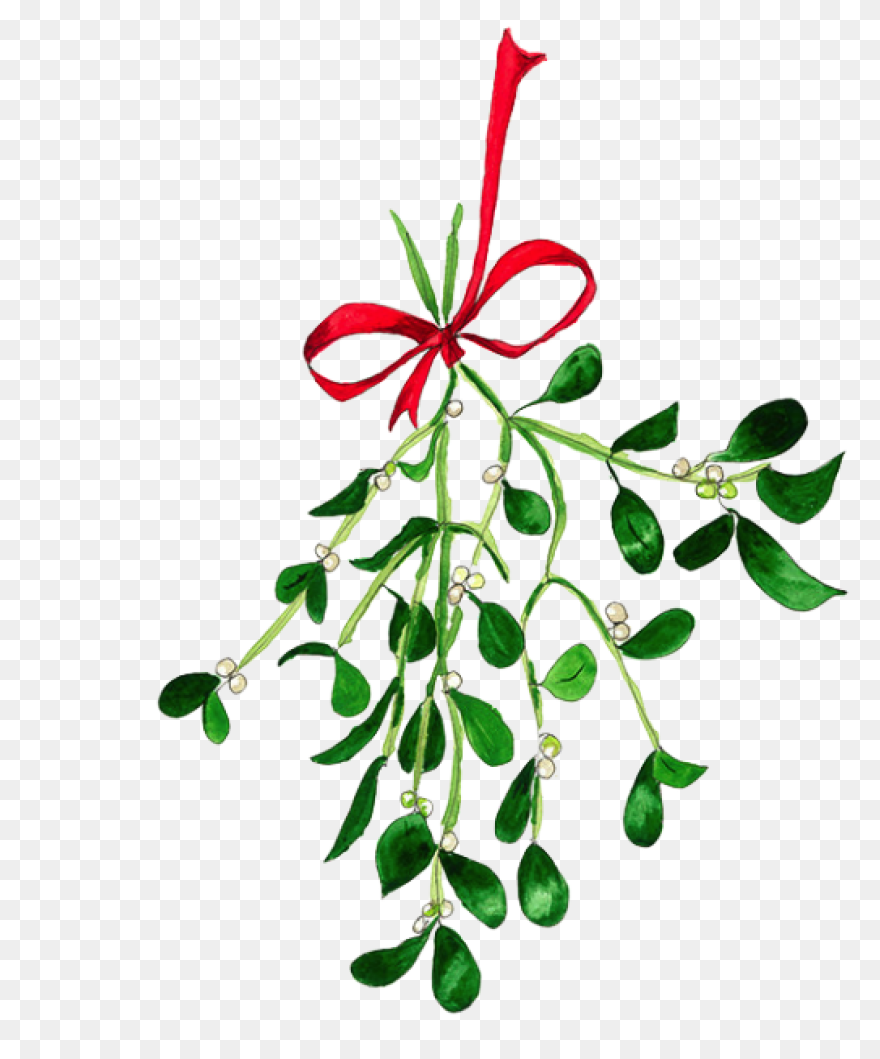 Free Png Christmas Holly Mistletoe 
