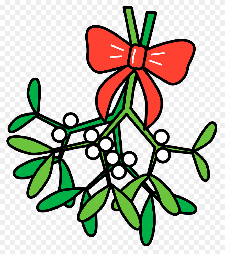 Free Png Christmas Holly Mistletoe 